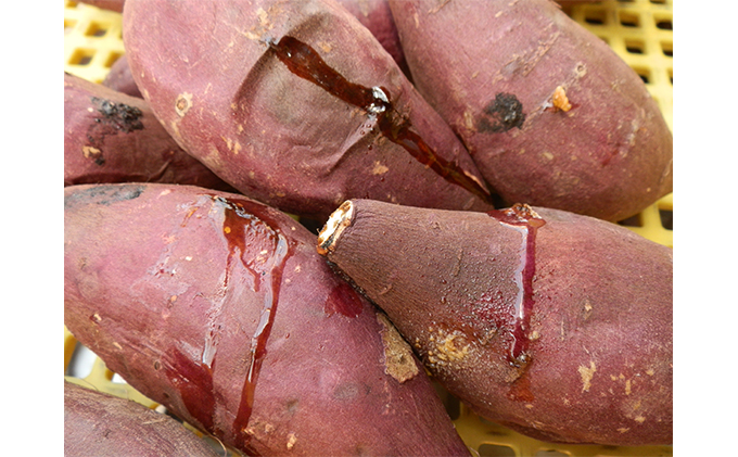 紅はるか伊丹の干し芋 丸250g・平180g 各4袋セット [ 紅はるか しっとりやわらか お菓子 詰合せ サツマイモ さつまいも 食べ比べ ]