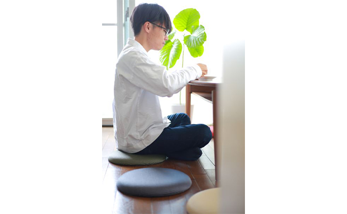 畳クッション　igusa-monoマカロン 12 抹茶