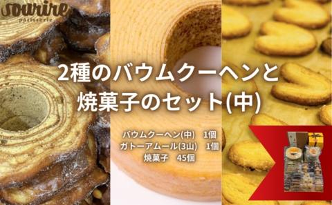 2種のバウムクーヘンと焼菓子のセット(中) ほほえみの樹 ガトーアムール 米粉 本醸造 特撰 白雪 使用 しっとり ソフトタイプ 伝統的 欧米風 ハードタイプ バームクーヘン 食べ比べ フィナンシェ クッキー お菓子 詰め合わせ 人気 スーリール
