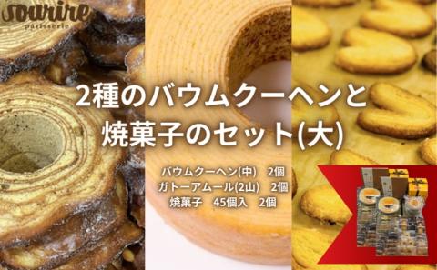 2種のバウムクーヘンと焼菓子のセット(大) ほほえみの樹 ガトーアムール 米粉 本醸造 特撰 白雪 使用 しっとり ソフトタイプ 伝統的 欧米風 ハードタイプ バームクーヘン 食べ比べ フィナンシェ クッキー お菓子 詰め合わせ 人気 スーリール