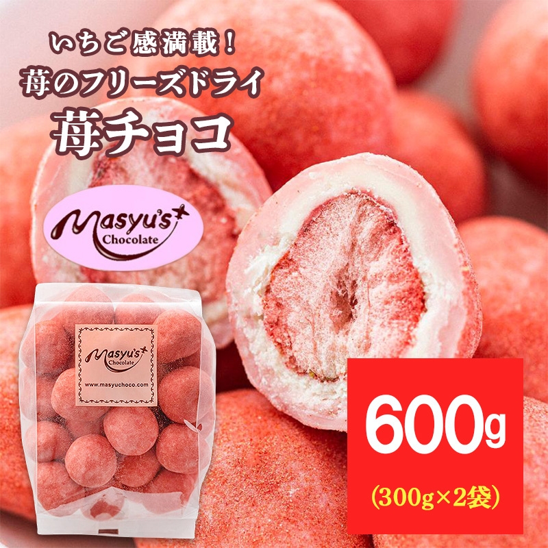 苺のフリーズドライ苺チョコ600g 300gx2袋 4月～10月発送 チョコレート チョコ スイーツ お菓子 おかし いちご イチゴチョコ イチゴ パウダー ギフト プレゼント 兵庫県 伊丹市