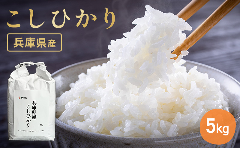 お米 令和7年産 兵庫県産コシヒカリ5kg 米 お米 新米 こめ コメ 白米 兵庫県 伊丹市