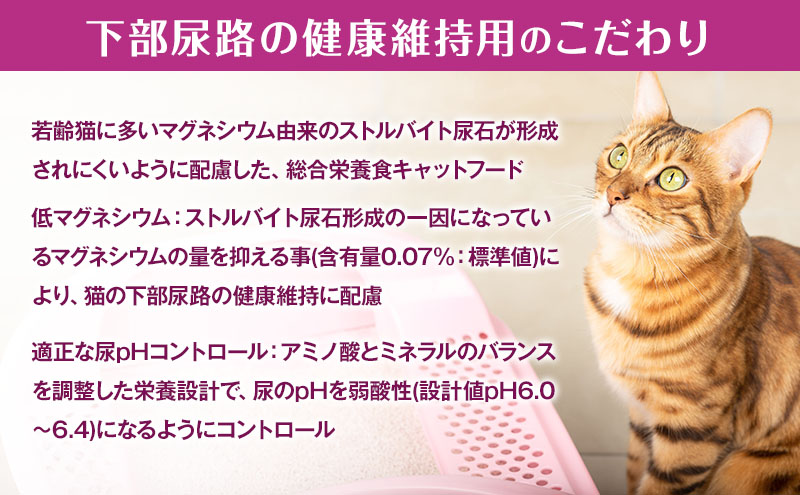 銀のスプーン三ツ星グルメ 香るお魚仕立て下部尿路の健康維持用 1歳～10歳頃までのお魚レシピ 240g×14箱 ペットフード キャットフード 猫 ペット 小分け 個包装 ドライ ユニ・チャーム ペット