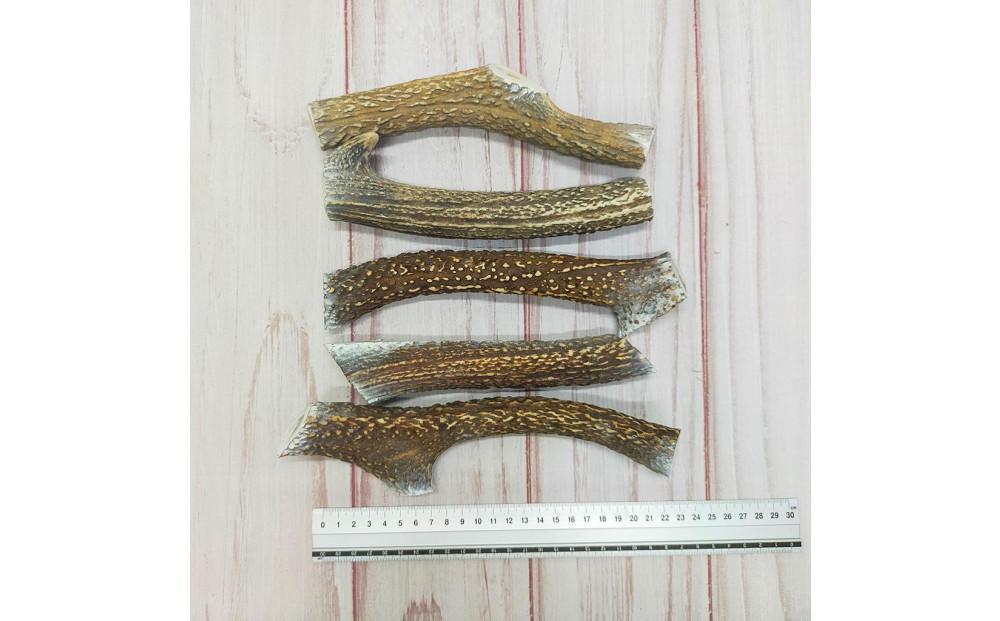 ワンちゃんの健活グッズ  シカの角 (大型犬用) 3本入り