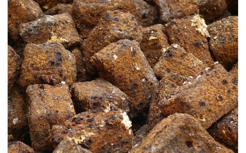 【カブトムシ・クワガタ】深山農園の しいたけ廃菌床 14個