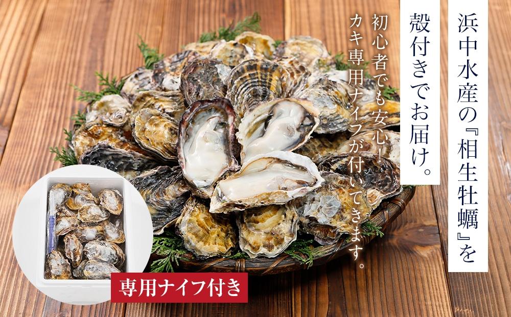 ★先行予約★【4月発送】特選！殻付き生牡蠣 20個【漁師直送！】