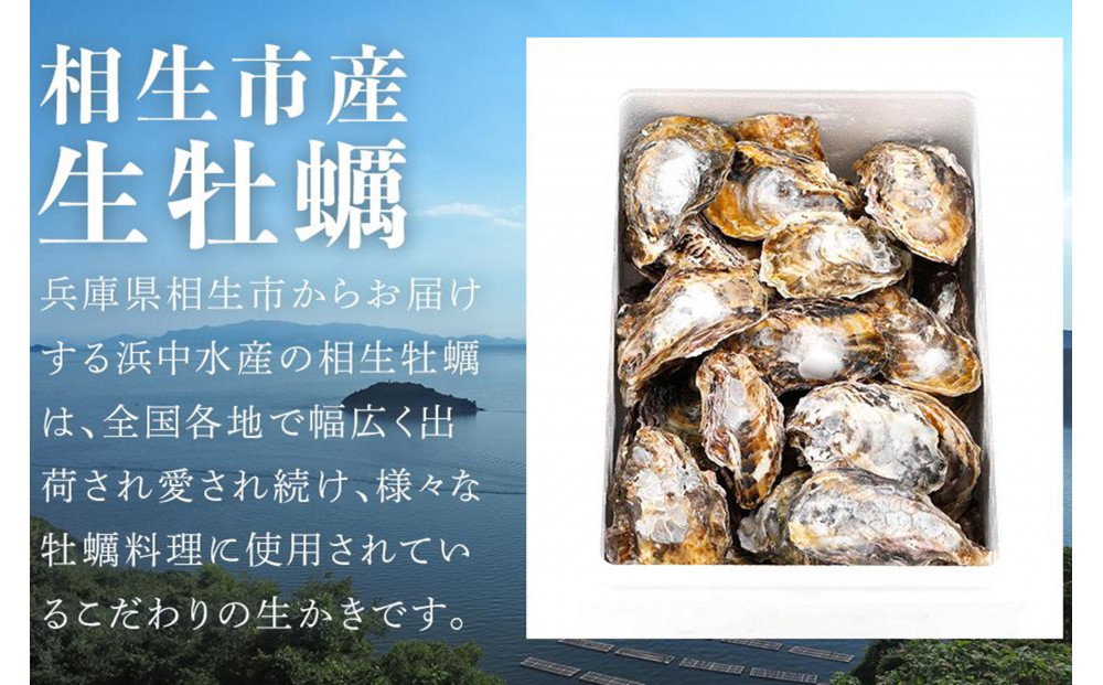 ★先行予約★《訳あり・不揃い》殻付き生牡蠣　3kg 【漁師直送!】冷蔵配送