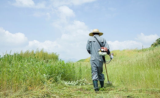 ふるさとの空き家・空き地等のお手入れサービス
