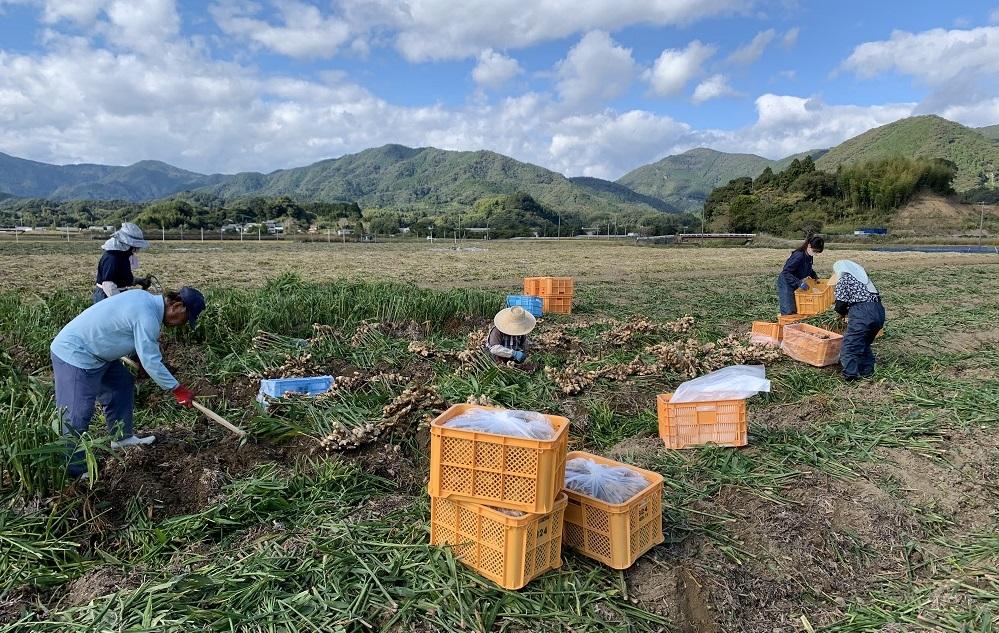 万能調味料ジンジャージャム6本セット