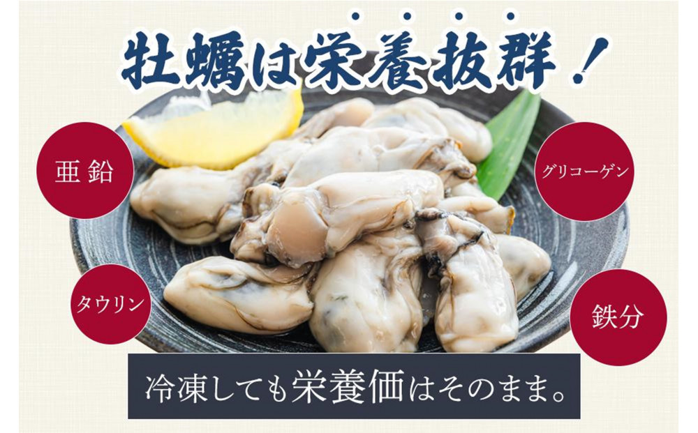 ★先行予約★《訳あり・不揃い》殻付き生牡蠣　3kg 【漁師直送!】冷蔵配送
