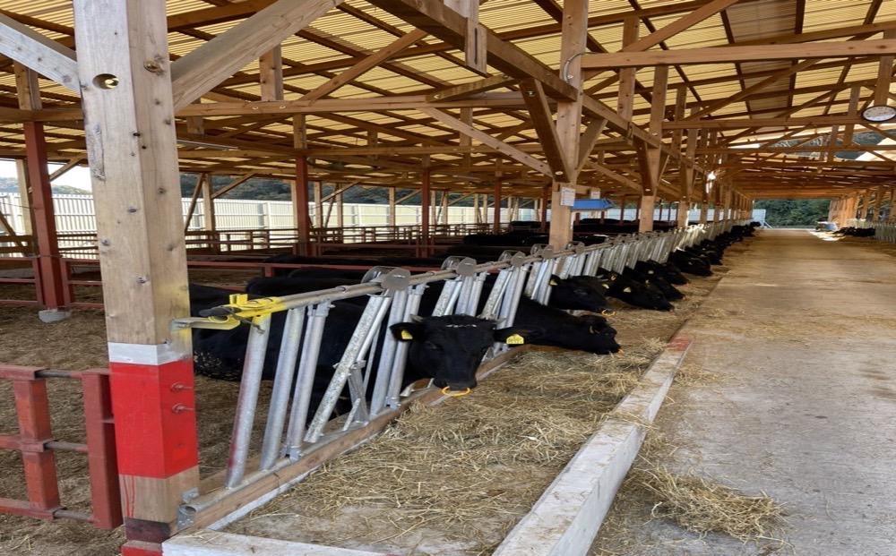 新ブランド牛！「はりま姫牛」切り落とし600g（200g×3パック）