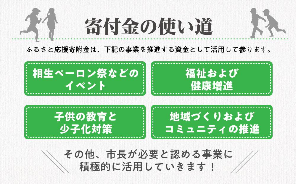 【返礼品なし】兵庫県相生市への寄付（100,000円分）