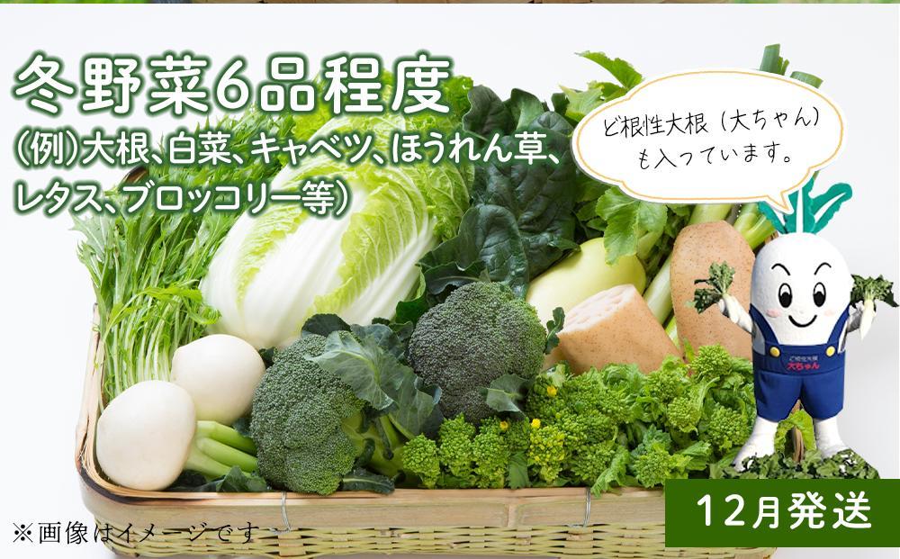 「ベジーズ館」の夏・冬野菜　年２回コース （7月と12月発送）