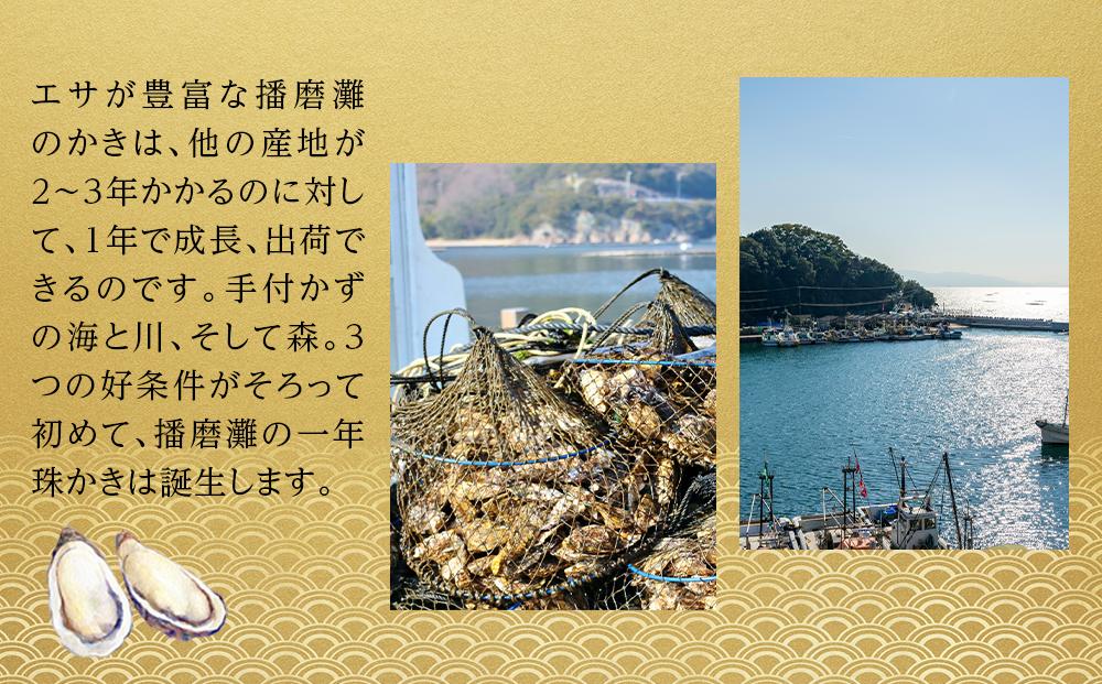 内閣総理大臣賞受賞 蒸しカキ 珠せいろ 大粒規格 500g