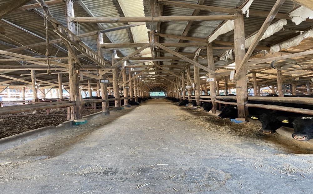 新ブランド牛！「はりま姫牛」大容量切り落とし２kg（200g×10パック）