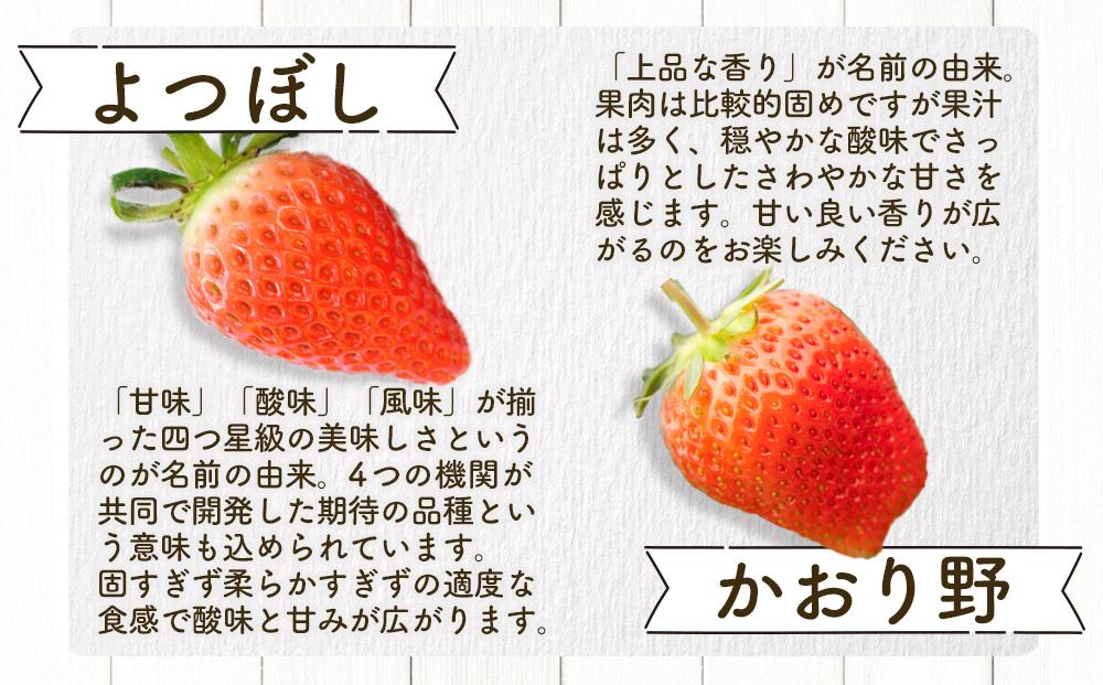 【先行受付】あいのまち相生市産　朝獲れいちご　200g×2パック（2026年2月下旬以降発送）