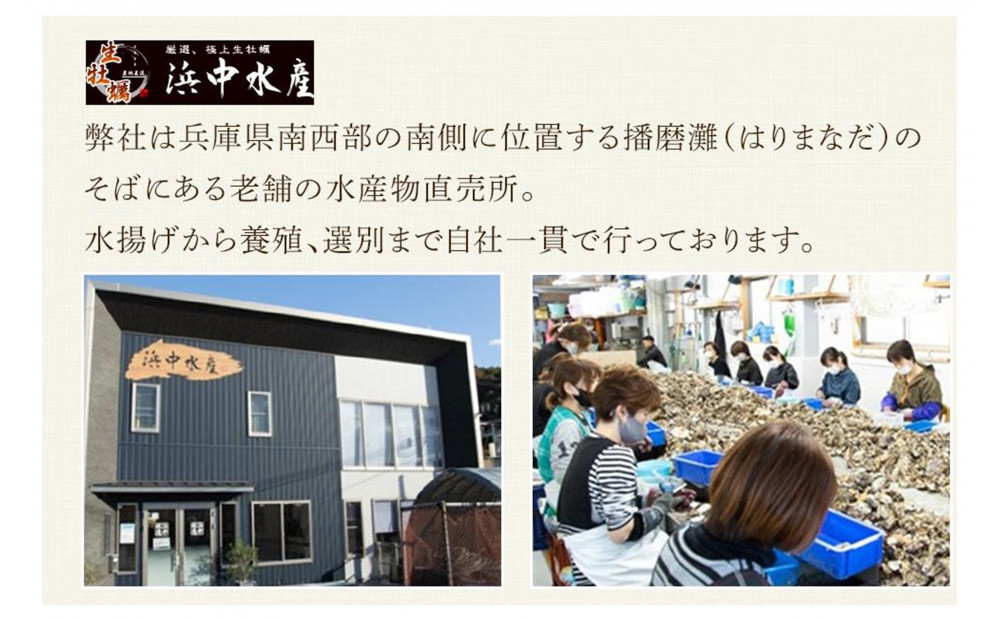 ★先行予約★《訳あり・不揃い》殻付き生牡蠣　1.5kg 【漁師直送!】冷蔵配送