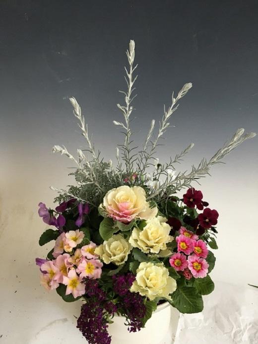 相生から季節のお花の寄植