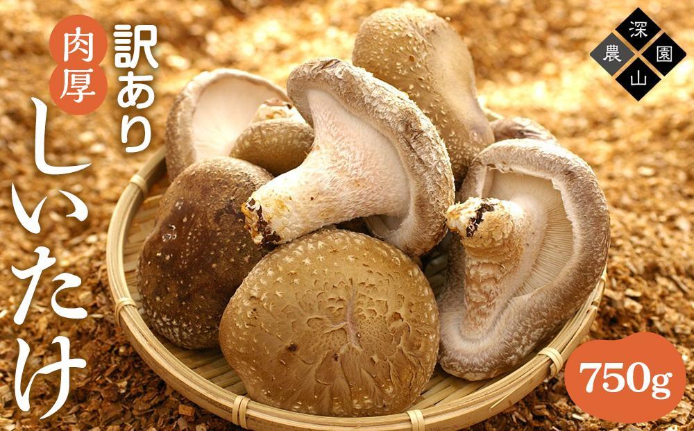 【有機】深山農園の 有機 中身美人の新鮮しいたけ ～アウトレット～750g