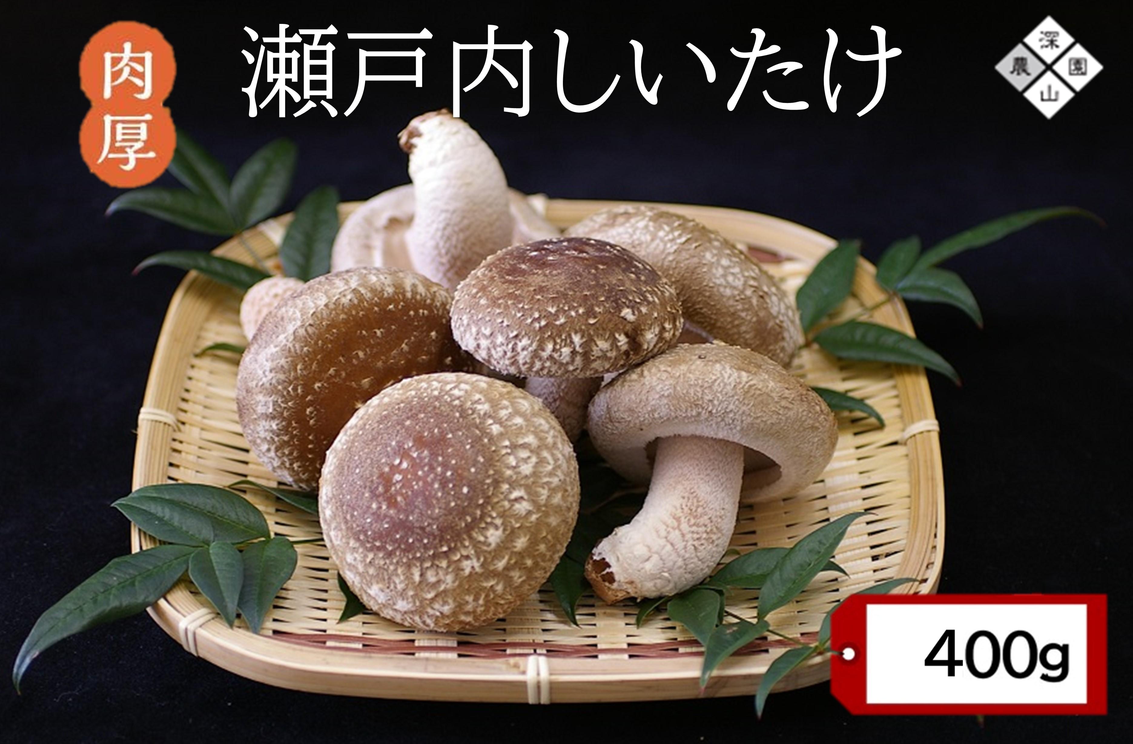 【有機】深山農園の 瀬戸内しいたけ ～肉厚で、大きく、ジューシー～400g