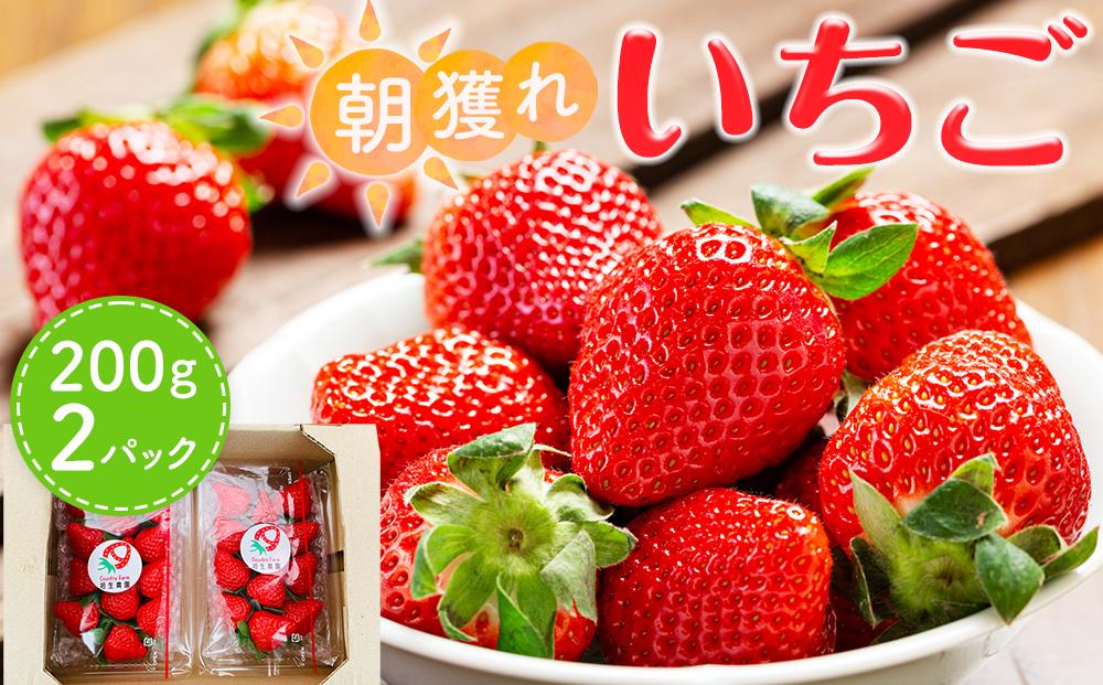 【先行受付】あいのまち相生市産　朝獲れいちご　200g×2パック（2026年2月下旬以降発送）