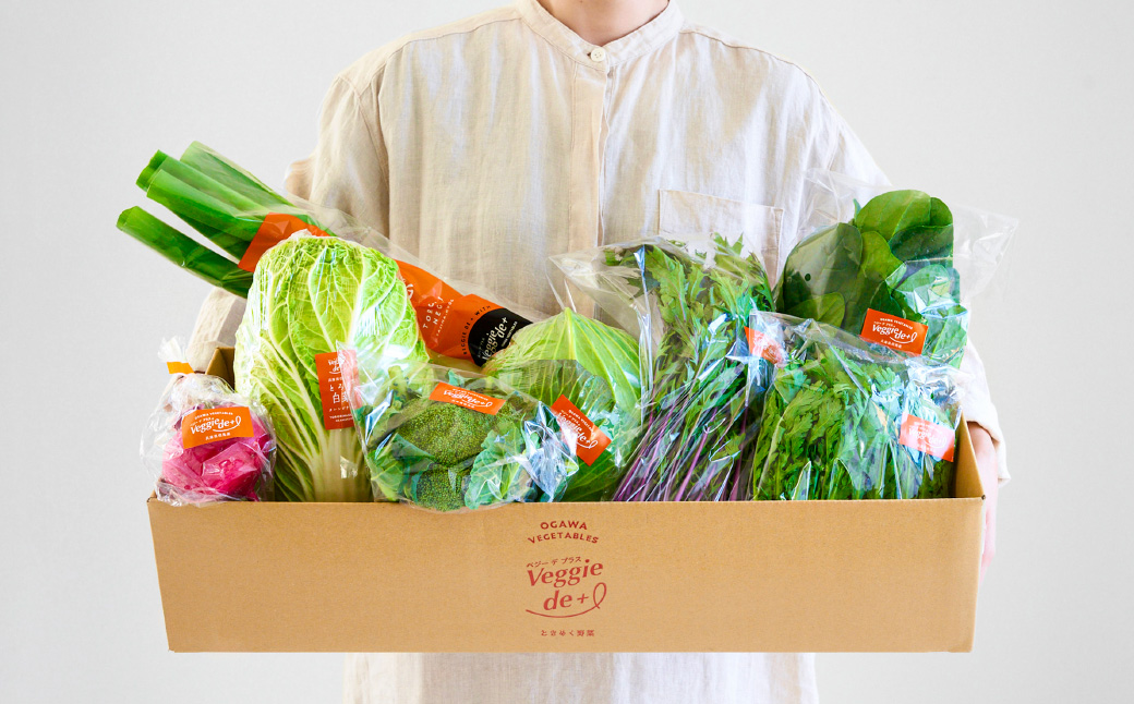旬のお野菜を新鮮な状態でお届け！ベジプラ特選 旬の野菜セット / 野菜 詰め合わせ セット 野菜セット 新鮮 ギフト やさい 産地直送 苦みが少ない 甘みが強い【野菜例：キャベツ 白菜 ミニトマト レタス とろり葱 ほうれん草 など 】 【Veggie de ＋】