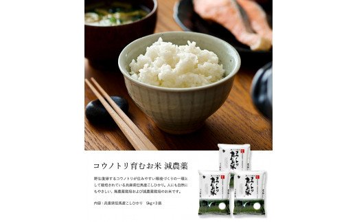 令和7年産　新米 減農薬 米 特別栽培米 4kg コウノトリ育むお米 但馬産 こしひかり 兵庫県産(2kg×2袋)（94-003）減農薬 お米 4キロ 精米 白米 コウノトリ米 コシヒカリ 新米 コメ こめ ご飯 ライス 減農薬米
