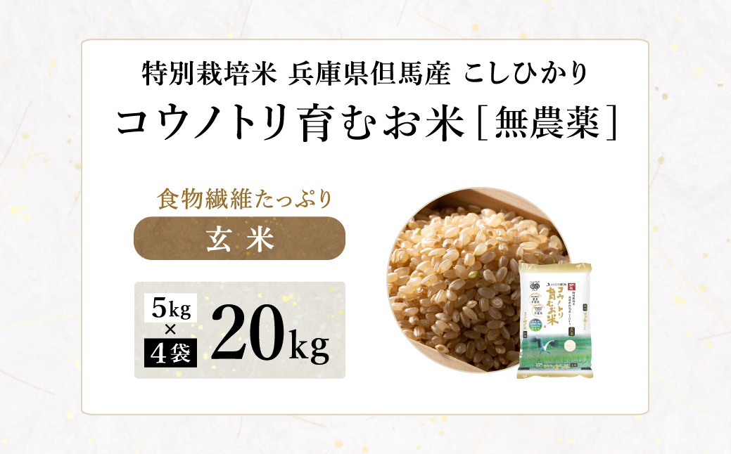 令和7年産 無農薬 白米 20kg コウノトリ育むお米 但馬産 こしひかり 兵庫県産(5kg×4袋)（94-002）無農薬 お米 20キロ 精米 白米 コウノトリ米 コシヒカリ 農薬不使用 特別栽培米 予約 コメ こめ ご飯 ライス 無農薬米