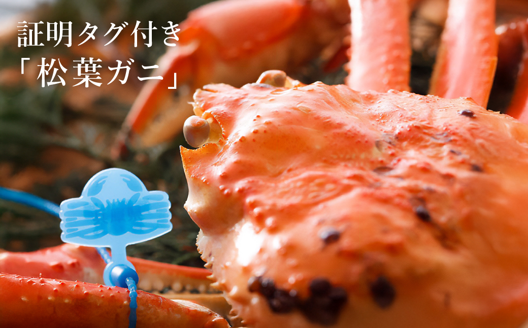【kinosaki spa&gardens　湯楽使用】タグつき 釜茹で松葉ガニ　約800ｇ
