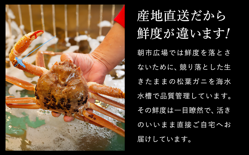 【訳あり】タグつき 釜茹で松葉ガニ700g前後