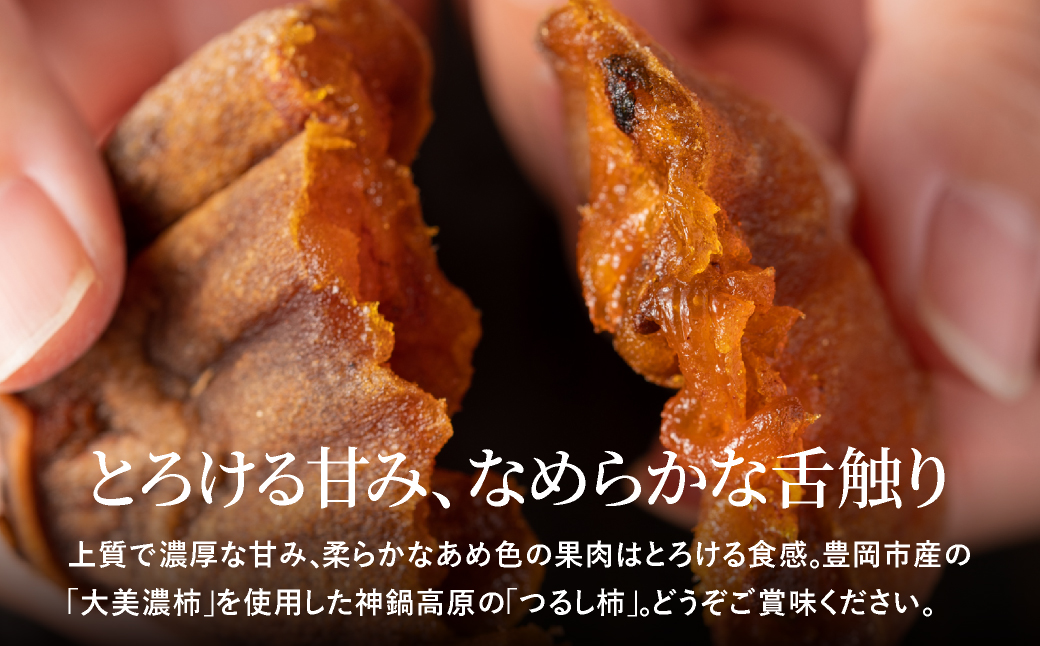 つるし柿 縄のれん5個 神鍋特産 ご自宅用 / 神鍋高原 つるし柿 ドライフルーツ 干し柿 干柿 ほしがき 大美濃柿 縄のれん お取り寄せ 果物 柿 フルーツ 高糖度 国産 兵庫  産地直送 お菓子 和菓子 自然食品