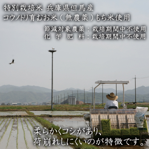 特別栽培米 兵庫県但馬産 コウノトリ育むおもち（丸餅）農薬・化学肥料不使用 2袋 1.2kg（約36個） / 無添加 切り餅 個包装 無農薬 化学肥料不使用 但馬産 添加物不使用 常温保存 国産 おもち お餅 餅 まる餅 白餅 焼き餅 雑煮 お正月 正月用