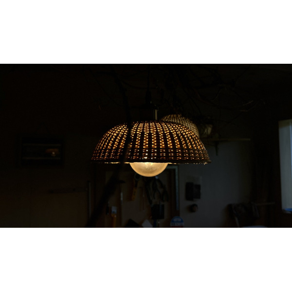 豊岡杞柳細工 育てる照明『tsukigasa』照明金具：ダクトレールタイプ（E26口金） /  ランプシェード 照明金具・電球付き 柳 半楕円体 伝統工芸品 天然素材 行李柳 コオリヤナギ