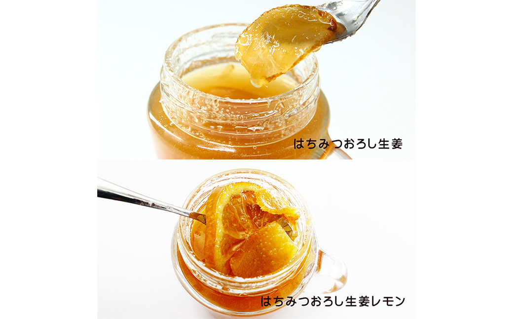 こうのとり生姜セット 9種入り / 刻み生姜の醤油漬け・炊き込みご飯の素・生姜焼きのタレ・生姜シロップ・生姜絞り汁・はちみつおろし生姜・はちみつおろし生姜レモン・蒸し生姜の粉・おろし生姜 / 国産 兵庫県産 こうのとり生姜  ショウガオール しょうが