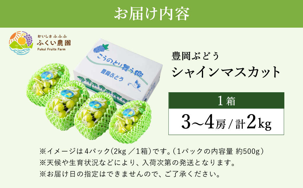 豊岡ぶどう シャインマスカット 約2kg / 豊岡ブドウ 産地直送 糖度が高い 濃厚 甘味 上品な香り 歯切れの良い 皮ごと 食べられる 減農薬 シャイン マスカット ぶどう ブドウ 葡萄 果物 くだもの フルーツ ふくい農園