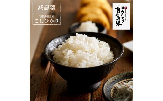 令和7年産　新米 減農薬 米 特別栽培米 8kg コウノトリ育むお米 但馬産 こしひかり 兵庫県産(2kg×4袋)（94-003）減農薬 お米 8キロ 精米 白米 コウノトリ米 コシヒカリ 新米 コメ こめ ご飯 ライス 減農薬米