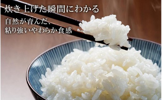 令和7年産　新米 無農薬 米 20kg コウノトリ育むお米 新米 但馬産 こしひかり 兵庫県産(5kg×4袋)（94-002）無農薬 お米 20キロ 精米 白米 コウノトリ米 コシヒカリ 農薬不使用 特別栽培米 新米 予約 コメ こめ ご飯 ライス 無農薬米