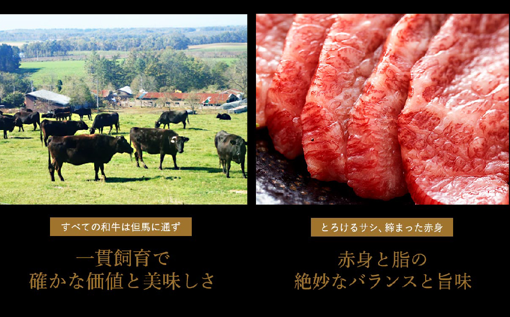 希少部位入り！極上但馬牛 焼肉セット 3種盛り【ロース モモ 希少部位1種 合計600g】牛肉 焼肉 セット 焼き肉 お肉 牛 肉 但馬牛 黒毛和牛 霜降り【但馬ビーフはまだ】【12/14までの受注分年内発送】