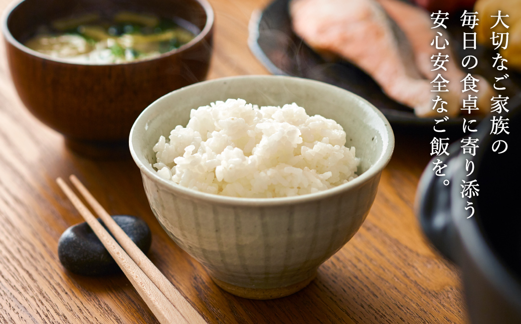 令和7年産 無農薬 玄米 20kg コウノトリ育むお米 但馬産 こしひかり 兵庫県産 (5kg×4袋) 無農薬 お米 20キロ 玄米 コウノトリ米 コシヒカリ 農薬不使用 特別栽培米 予約 コメ こめ ご飯 ライス 無農薬米