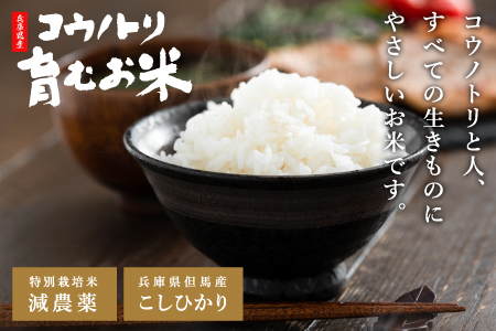 減農薬 令和7年産 パックライス 200g 24食 / 特別栽培米 パックご飯 コウノトリ育むお米 米 コシヒカリ お米 ごはん レンチン ご飯 白米 非常食 長期保存 備蓄 電子レンジ ライス ご飯パック【新米にて製造中につき12月上旬頃より順次発送】