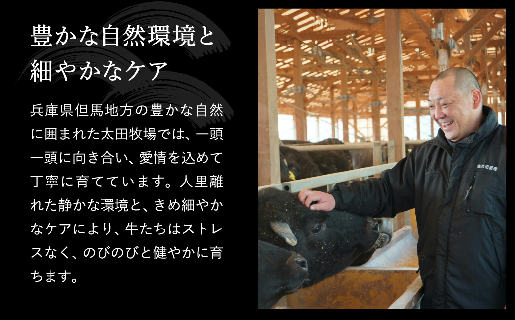 神戸牛 不揃いのサイコロステーキ1.2Kg（ロース・肩ロース・かた・もも 600ｇ×2P)(TYDS3-2) item1365-56-2【但馬牛太田家】【好評につき2月以降順次発送】