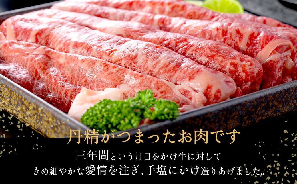 神戸牛 うす切り・切り落とし肉 合計1.1kg 【肩・もも肉 600g+牛肉切り落とし 500g 】/ 訳あり牛肉 切り落とし すき焼き すき焼き肉 しゃぶしゃぶ 肉 食べ比べ 焼肉 赤身 黒毛和牛 TYS3 神戸ビーフ 太田牧場【但馬牛太田家】【好評につき2月以降順次発送】