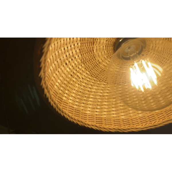 豊岡杞柳細工 育てる照明『tsukigasa』照明金具：ダクトレールタイプ（E26口金） /  ランプシェード 照明金具・電球付き 柳 半楕円体 伝統工芸品 天然素材 行李柳 コオリヤナギ