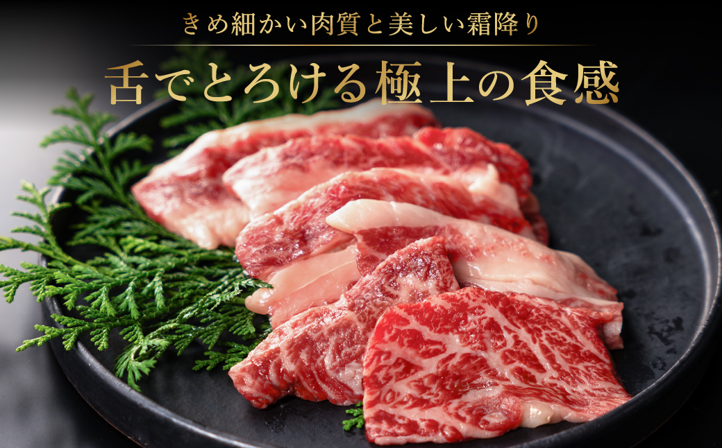 贅沢な脂香る A5ランク 神戸牛 カルビ焼肉 400g（200g×2パック）/ A5ランク 牛カルビ 小分け 牛肉 焼肉 カルビ バラ 肉 ばら肉 焼き肉 密着包装 霜降り バーベキュー 冷凍 国産牛 ブランド牛 黒毛和牛 神戸ビーフ 化粧箱入り ギフト 【帝神志方ミート】