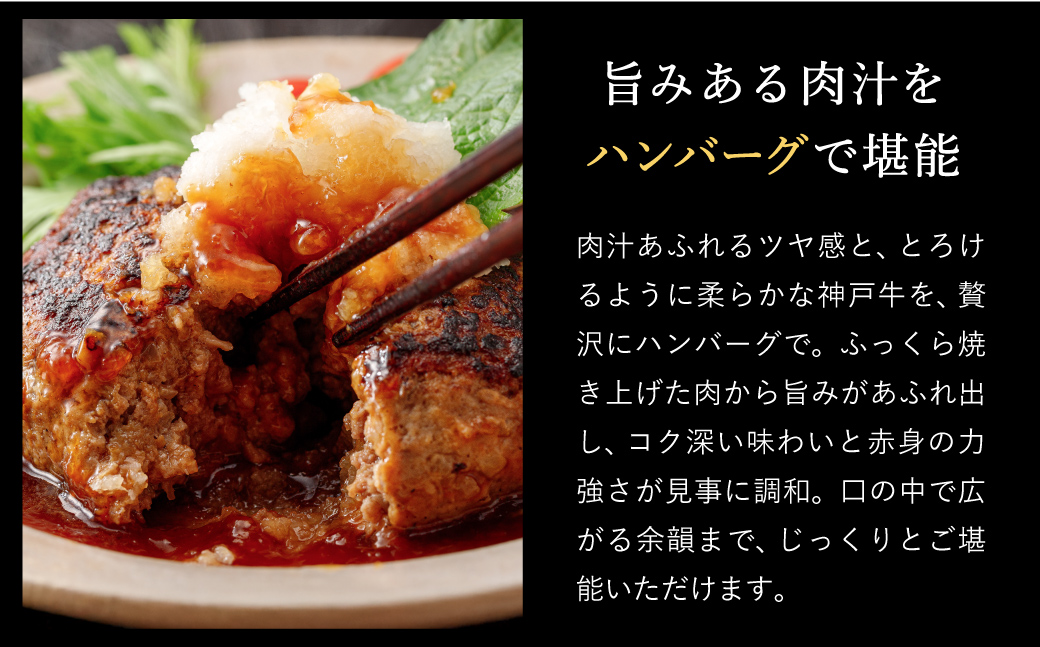 神戸牛 生ハンバーグ （100g×9個） 【帝神志方ミート】【12/21までの受注分年内発送】