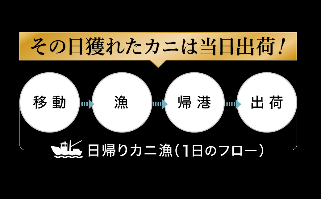 期間・数量限定 タグ付き 津居山産 松葉ガニ 1杯 / 活 700g～800g / 新鮮 松葉がに 松葉蟹 ズワイガニ ずわいがに かに カニ 蟹 冷蔵 海鮮 お取り寄せ グルメ 兵庫県 豊岡市 津居山漁港 但馬漁業協同組合