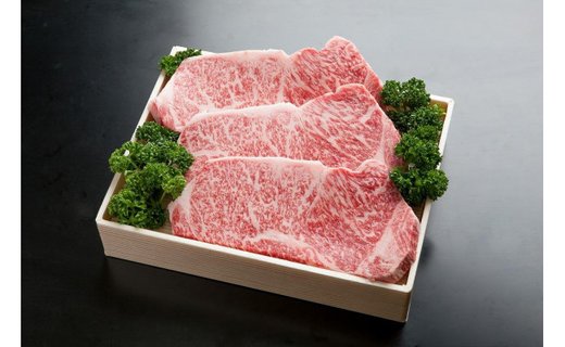 神戸牛 すき焼き 焼肉 ロースステーキ フルコースセット（2.9kg）(TY-FC20)/ 牛肉 霜降り 但馬牛 黒毛和牛 和牛 国産牛 肩 モモ ロース 焼き肉 ステーキ肉 すき焼き肉 神戸ビーフ 太田牧場【但馬牛太田家】【好評につき2月以降順次発送】
