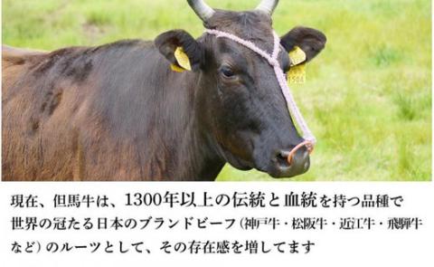 但馬牛 焼肉用 1kg / モモ 肩 牛肉 焼肉 霜降り 赤身 但馬牛 黒毛和牛 和牛 国産牛 焼き肉 牛 肉 やきにく 【JAたじま 肉の店本店】