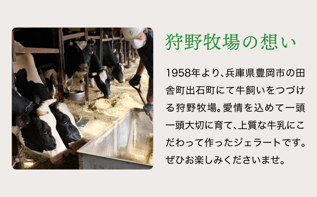 牛飼いのジェラートセット 12種詰め合わせ / 無添加 スイーツ ジェラート シャーベット アイスクリーム 卵 小麦粉不使用 手作り プレセント お土産 贈り物 ギフト お取り寄せ 【狩野牧場】