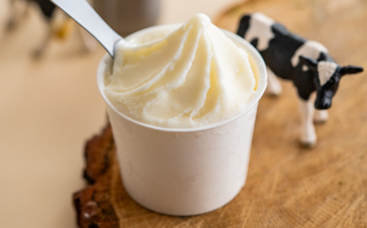 【ANA限定】牛飼いのジェラートセット 16種詰め合わせ / 無添加 スイーツ ジェラート シャーベット アイスクリーム 卵 小麦粉不使用 手作り プレセント お土産 贈り物 ギフト お取り寄せ 【狩野牧場】